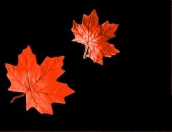 Herbst