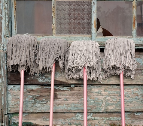 Mops and Old House