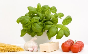 Italian ingredients – parmesan, tomato, garlic, basil, pasta