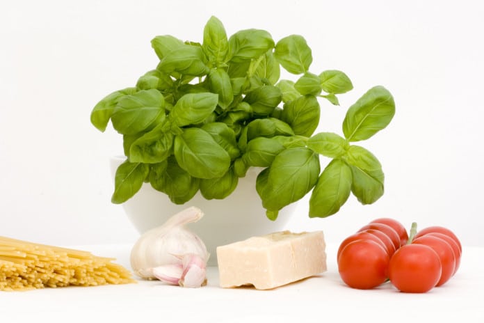 Italian ingredients – parmesan, tomato, garlic, basil, pasta