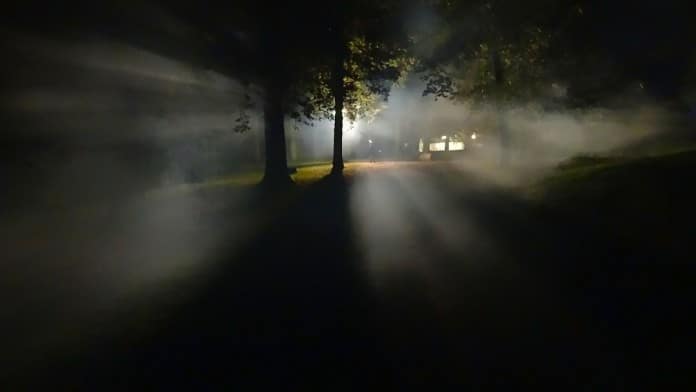 forest-549664_1280