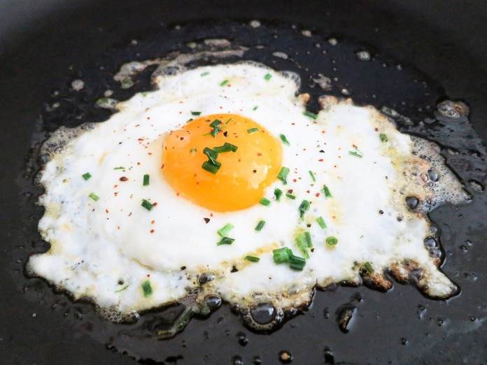 fried-703904_1280