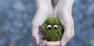 hands-creative-grass-moss