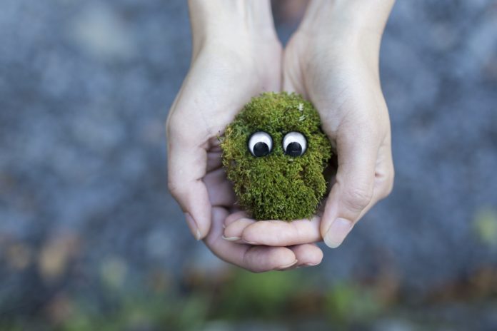 hands-creative-grass-moss