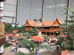 tropicalisland3