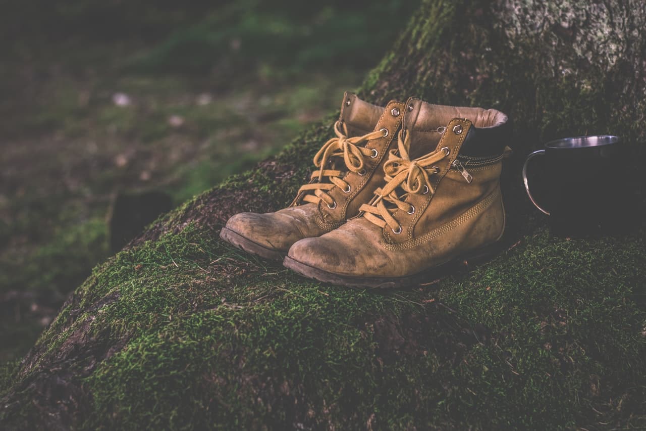 pexels-photo-167706