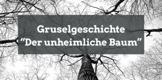 gruselgeschichte-baum