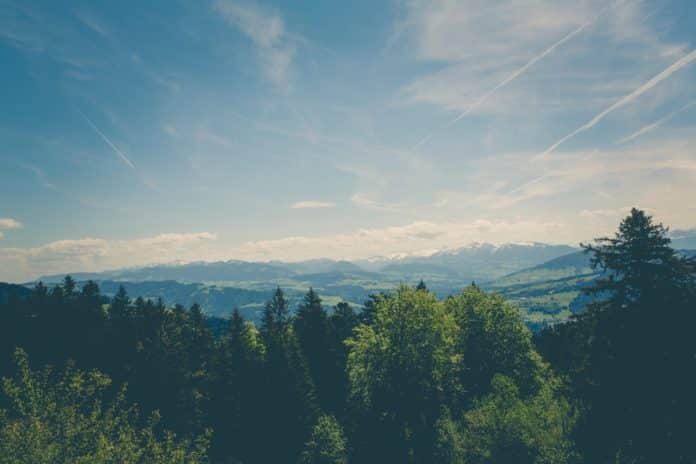 Zahlen erraten