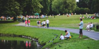 nature-bird-people-grass