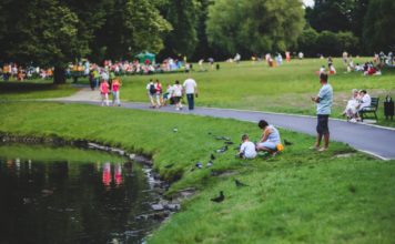 nature-bird-people-grass