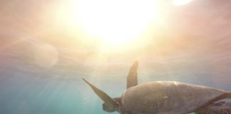 unter-wasser-bewegungsgeschichte
