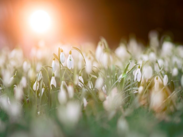 Kinderspiele Frühling