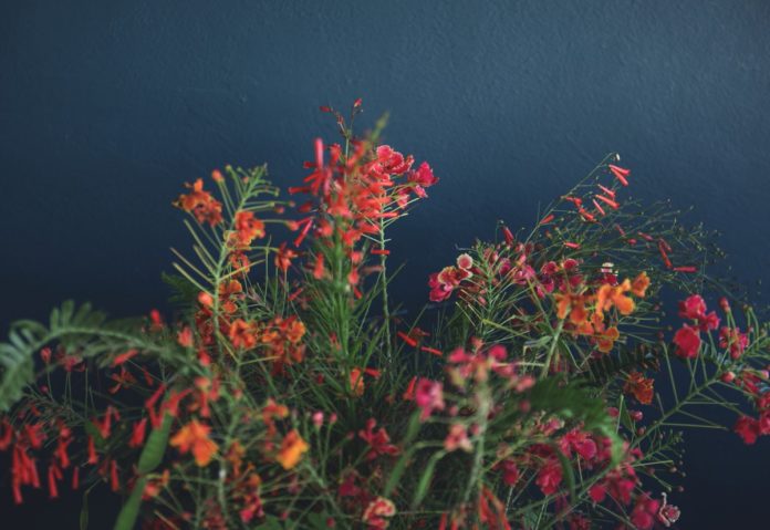 image-from-rawpixel-id-91690-jpeg
