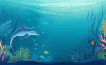 Fantasiereise für Kinder: Schwimmen mit Delfinen