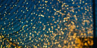 mark-kamalov-IyffE4SWpmg-unsplash