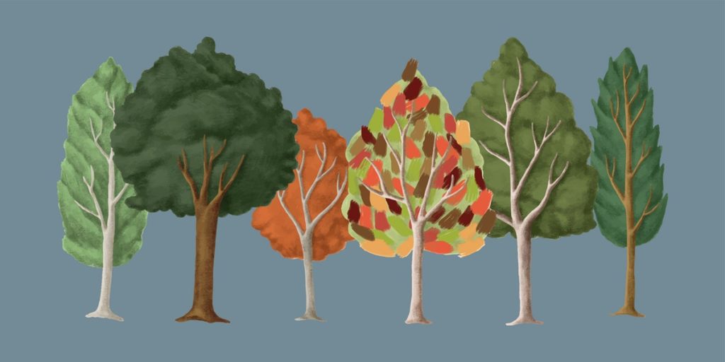 7 Spiele und Ideen für den Kindergarten-Ausflug in den Wald