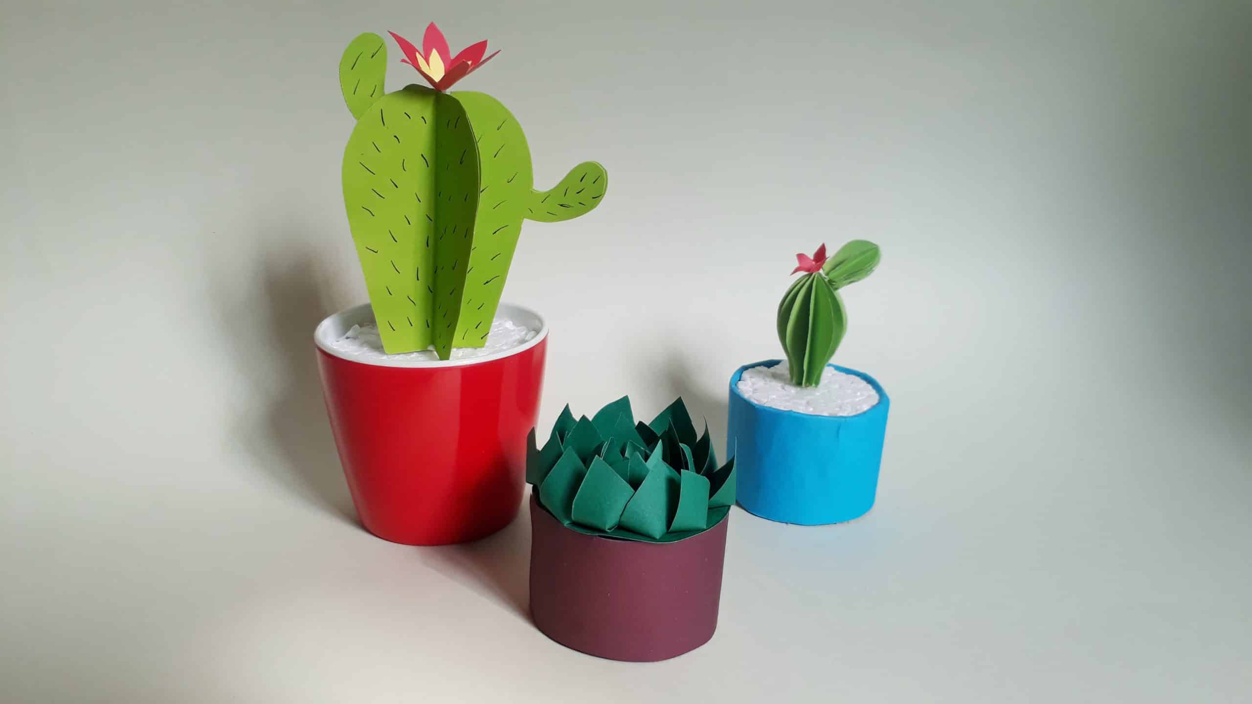 Video: Einen Kaktus aus Papier basteln  Jugendleiter-Blog