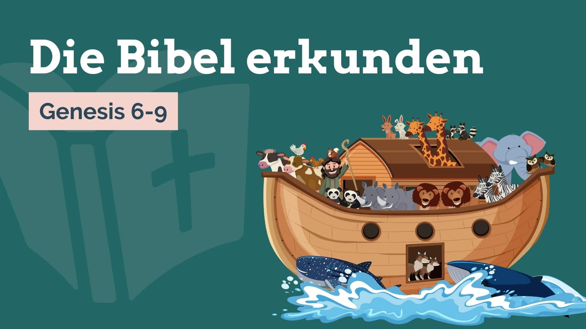 BibelGruppenstunde Arche Noah › JugendleiterBlog