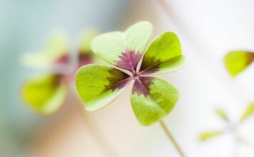 33 Fragen zum Glück für Kinder und Jugendliche: Eine moralische und ethische Perspektive