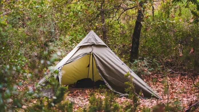Schlafen im Wald – ein Zelt im Wald