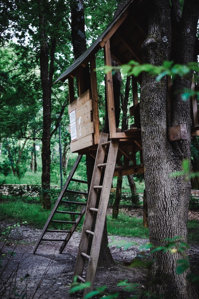 Ein Baumhaus mit Kindern und Jugendlichen bauen