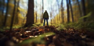 1-Minuten Impuls "Der Waldspaziergang" zum Thema "Ruhe im Alltag finden"