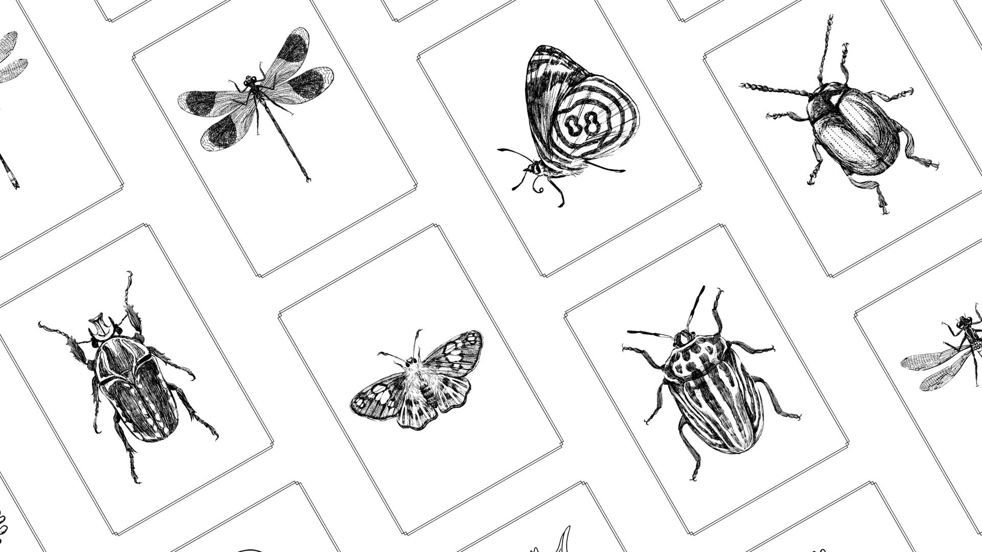 28 Insekten- und Käfer-Ausmalbilder für Kinder