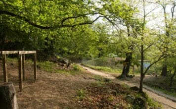 Spielidee: Geschicklichkeits-Parcours