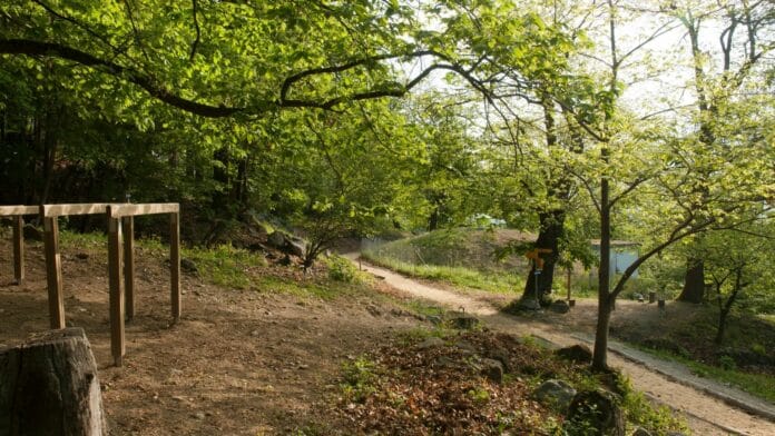 Spielidee: Geschicklichkeits-Parcours