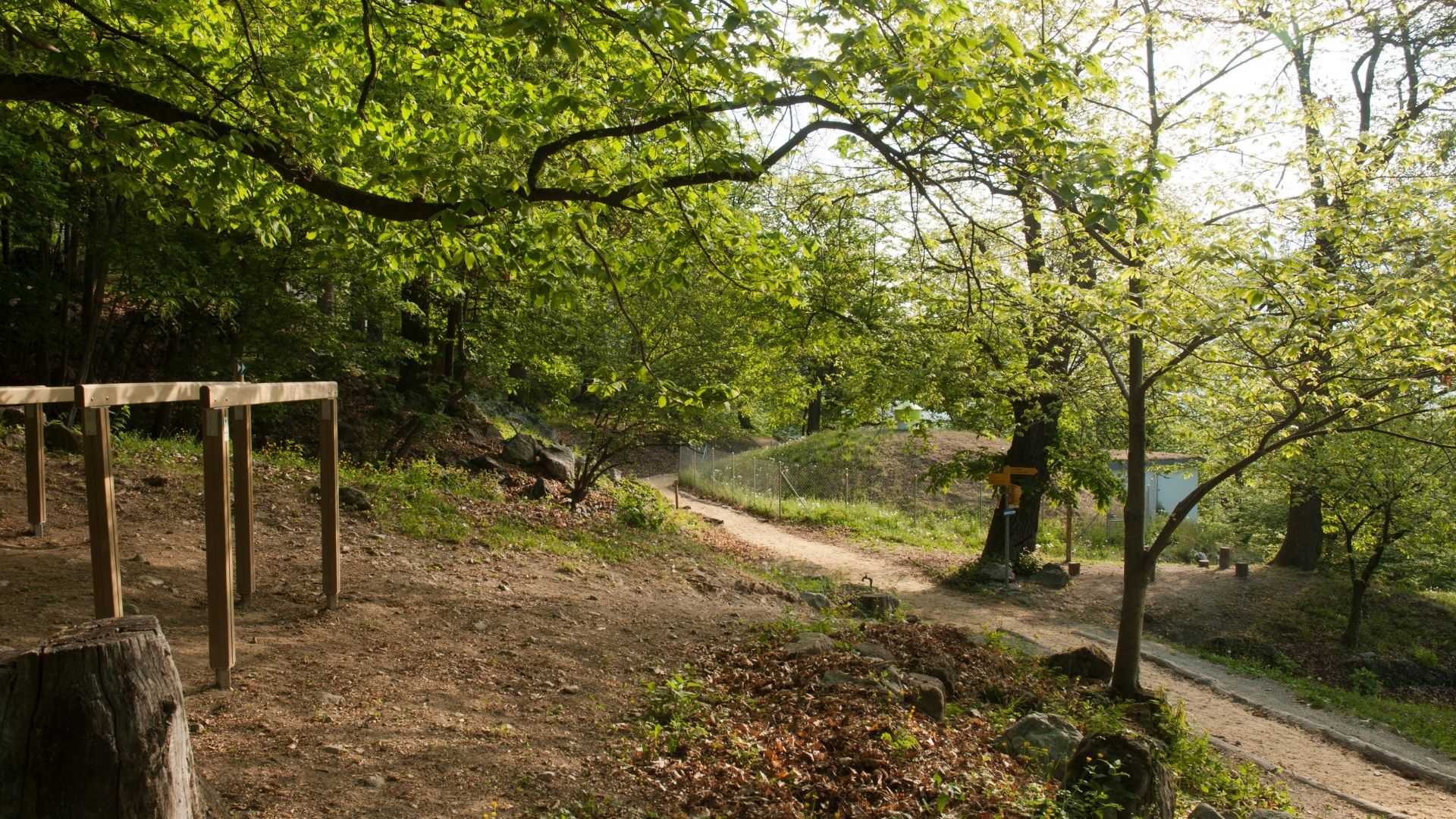 Spielidee: Geschicklichkeits-Parcours