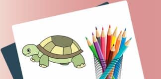 Mal-Anleitung für Kinder: eine Schildkröte malen