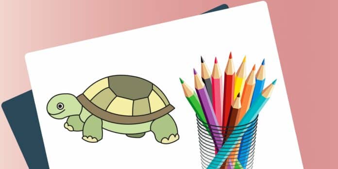 Mal-Anleitung für Kinder: eine Schildkröte malen