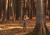 Spiele-Gruppenstunde: Wald-Spielerunde