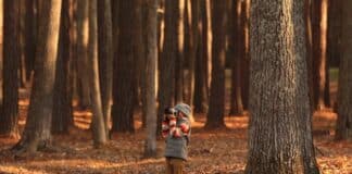 Spiele-Gruppenstunde: Wald-Spielerunde