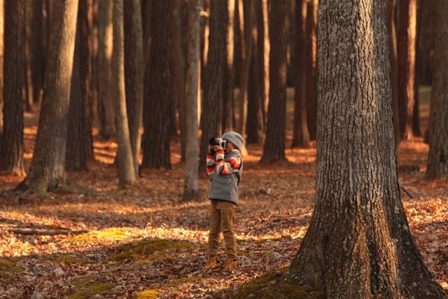 Spiele-Gruppenstunde: Wald-Spielerunde