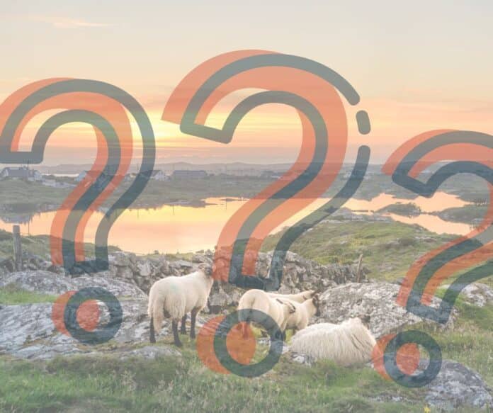 Quizfragen für Kinder: Irland