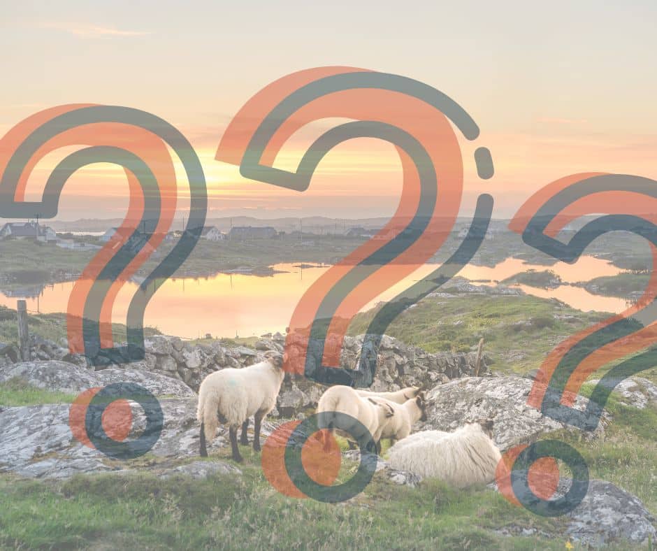 Quizfragen für Kinder: Irland