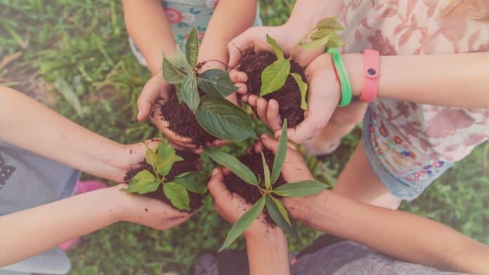 33 Umwelt-Challenges für Kinder