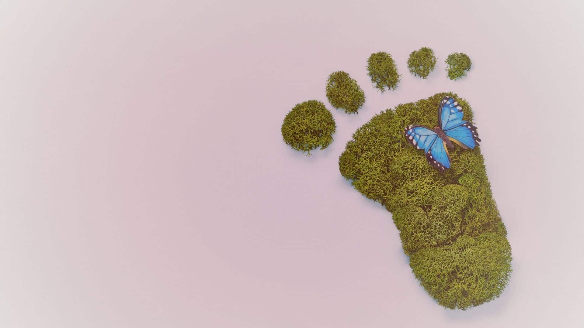 Nachhaltigkeit in der Jugendarbeit