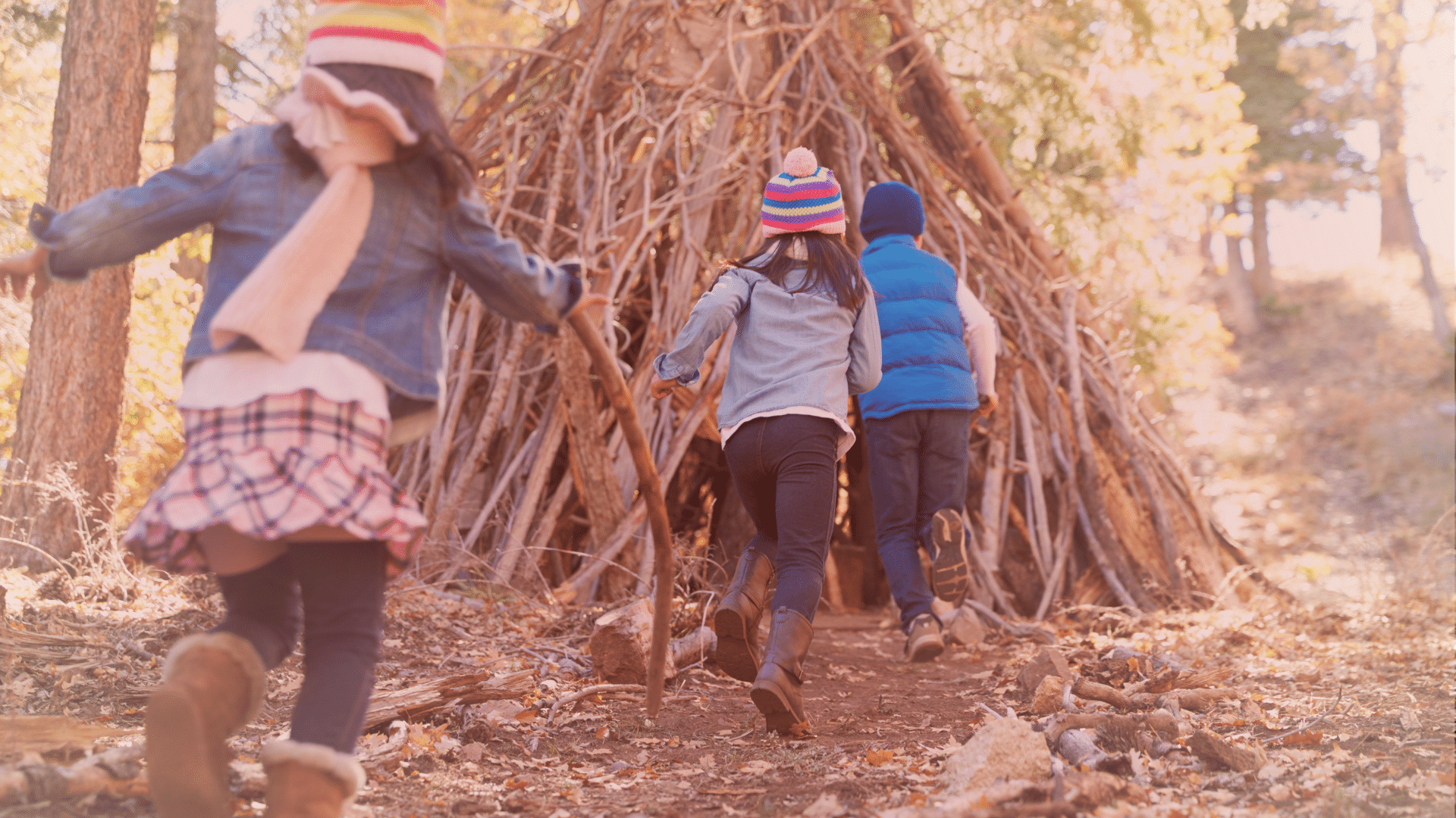 Wald-Abenteuer mit Kindern