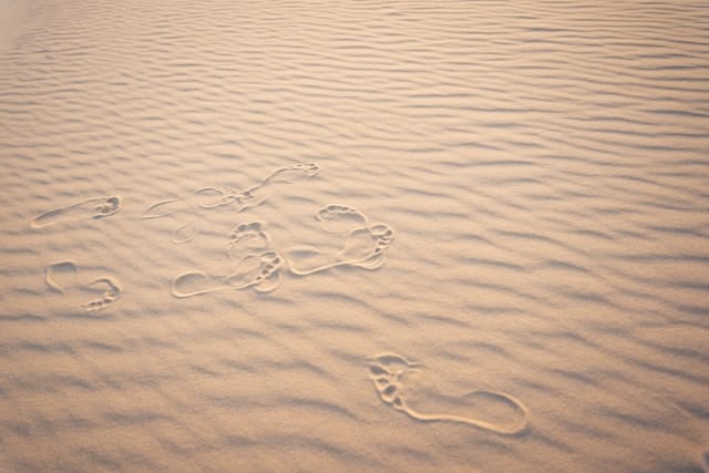 Leitungs-Impuls: Spuren hinterlassen